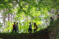 /album/fotogaljerjeja/a63-2-jpg/